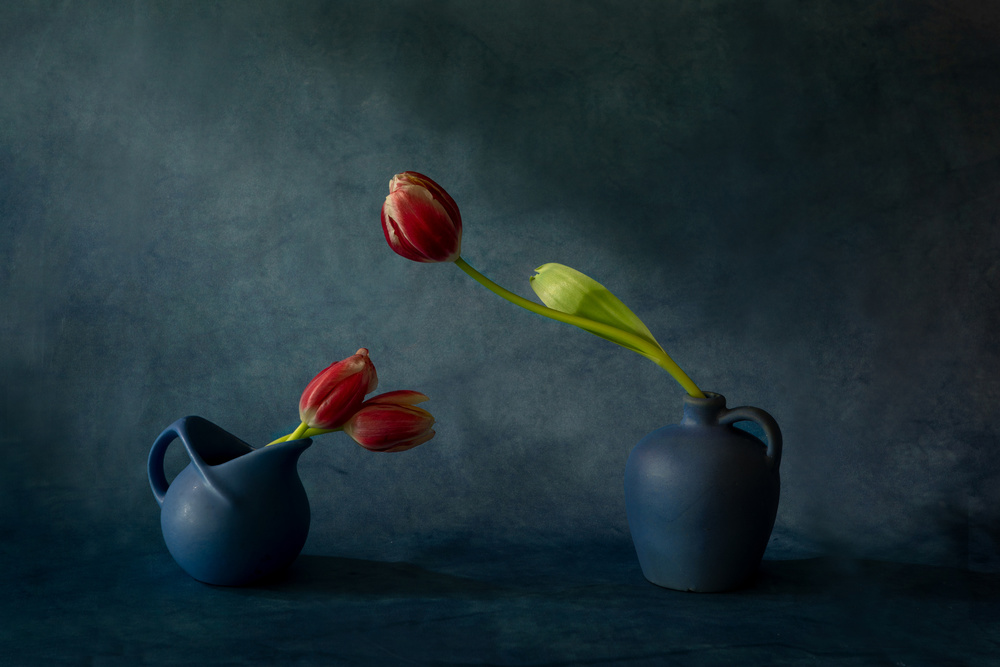 Tulpen und Vasen from Dennis Zhang
