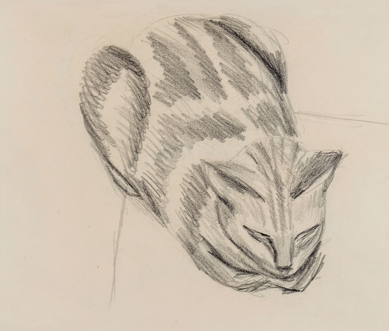 Sleeping Cat (pencil on paper) from Denton Welch