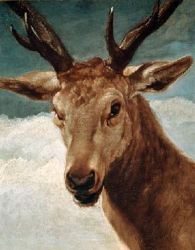 Velázquez / Head of a Stag