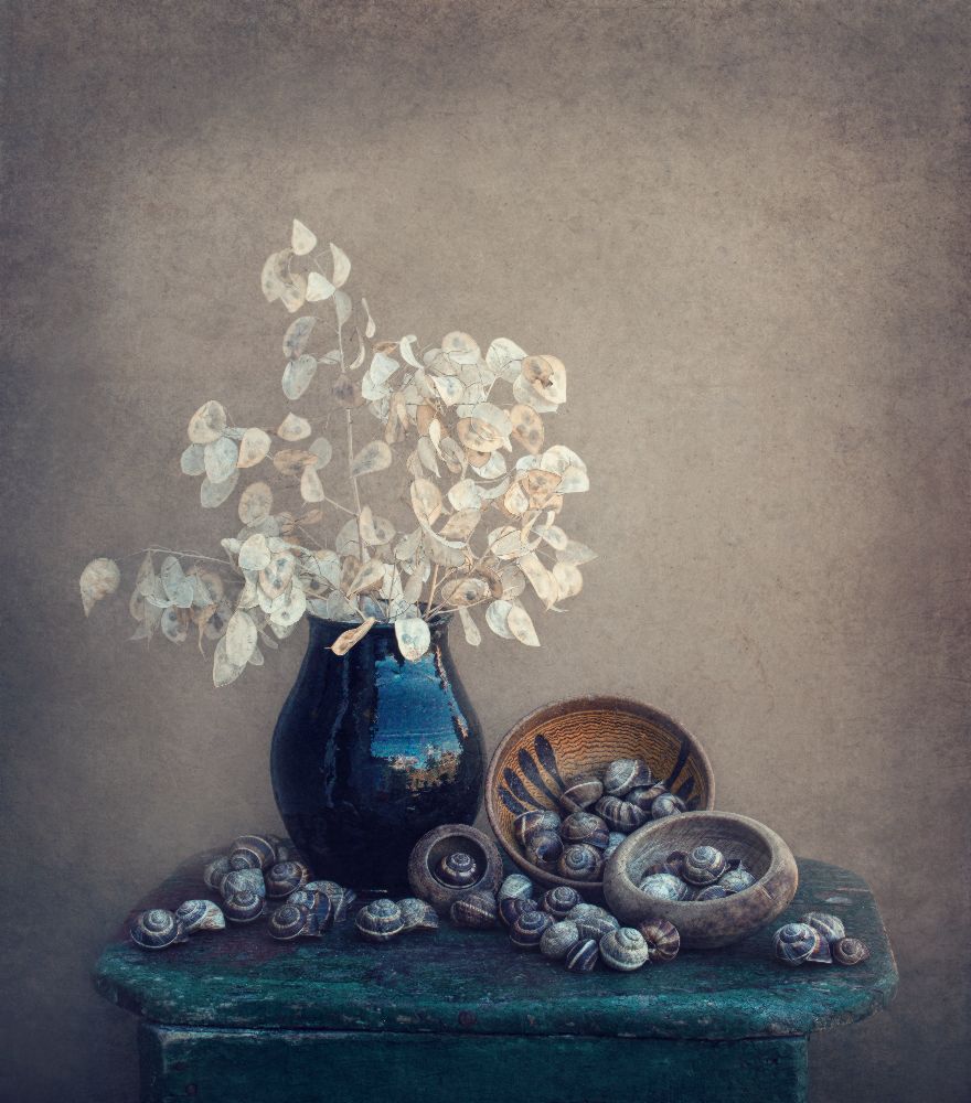Still life with a lunaria and snails from Dimitar Lazarov