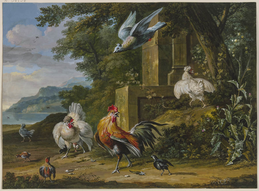 Ein Hahn und zwei Hennen mit ihren Jungen von einem Raubvogel überfallen from Dirck Dalens III