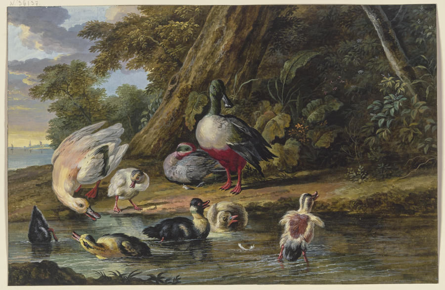 Zwei Enten mit ihren Jungen am Wasser from Dirck Dalens III
