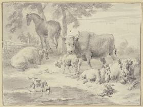 Kühe, Schafe, eine Ziege, ein Pferd und ein Hund bei einem Wasser