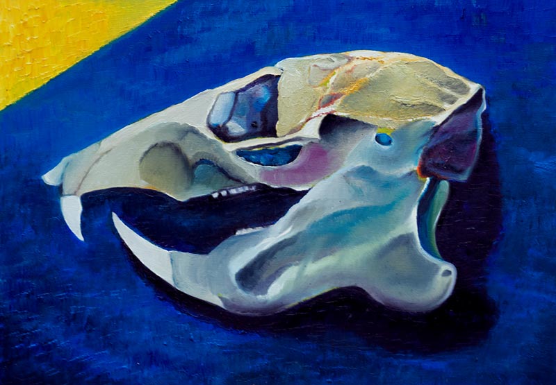 Skull no.5 from Azure