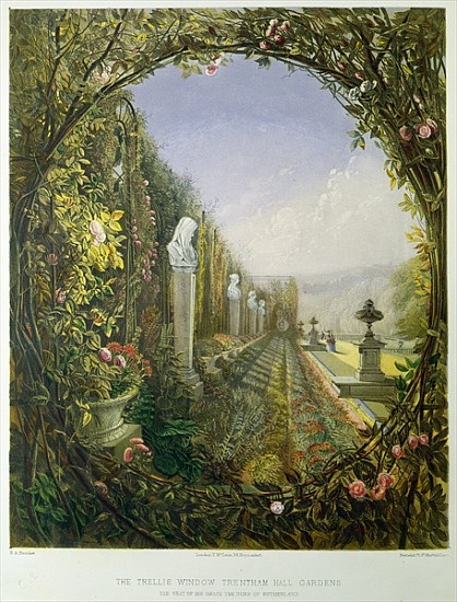 The Trellis Window, Trentham Hall Gardens, from ''Gardens of England'', published 1857 from E. Adveno Brooke