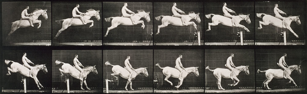 Man and horse jumping a fence, plate 643 from ''Animal Locomotion'', 1887 (b/w photo)  from Eadweard Muybridge