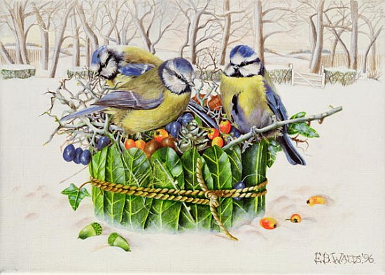 Blue Tits in Leaf Nest, 1996 (acrylic on canvas)  from E.B.  Watts