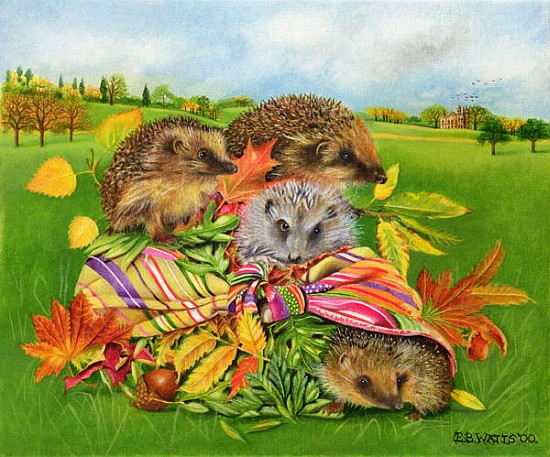 Hedgehogs Inside Scarf, 2000 (acrylic on canvas)  from E.B.  Watts