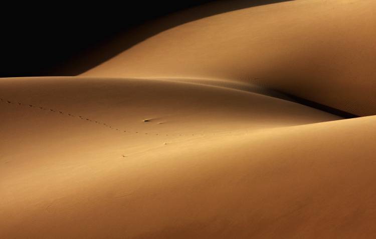 Desert and the human torso from Ebrahim Bakhtari bonab