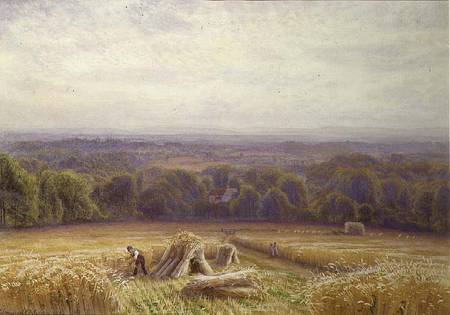 Harvesting from Edmund George Warren