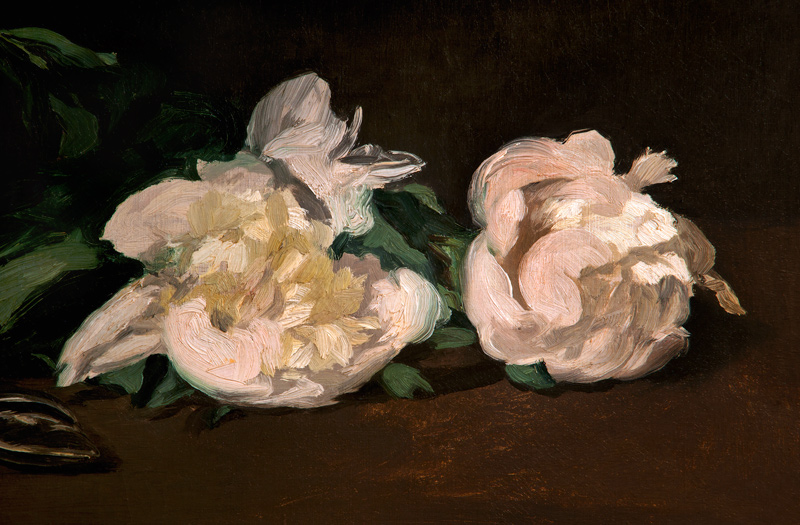 Branch of White Peonies and Secateurs from Edouard Manet