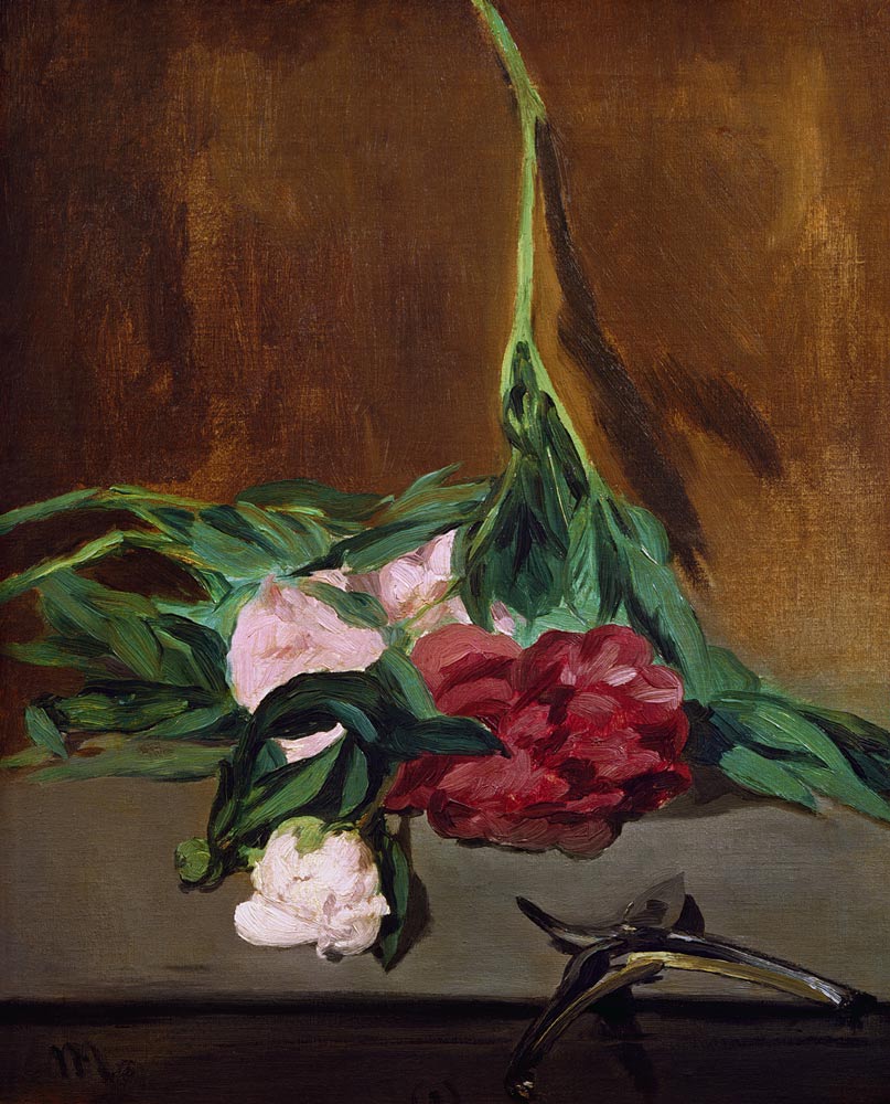 Stem of Peonies and Secateurs from Edouard Manet