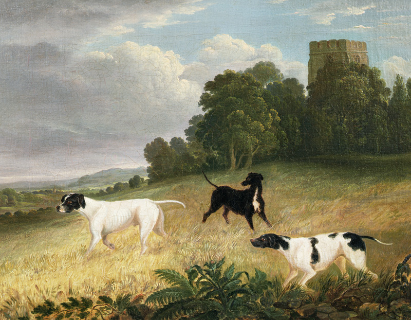 Pointers in a Landscape from Edwin Cooper