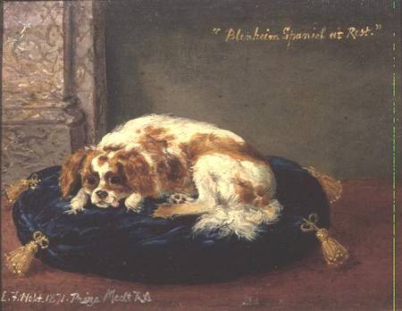 Blenheim Spaniel at Rest from Edwin Frederick Holt