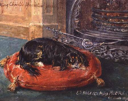 King Charles Spaniel at Rest from Edwin Frederick Holt