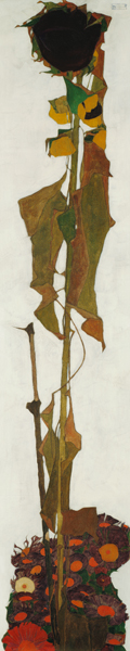 Sonnenblume from Egon Schiele