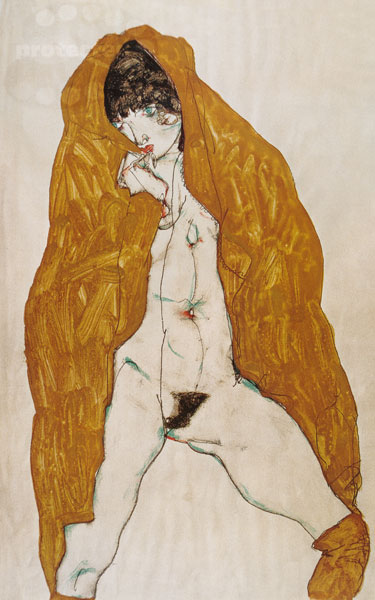 Weiblicher Akt mit gelbem Umhang from Egon Schiele