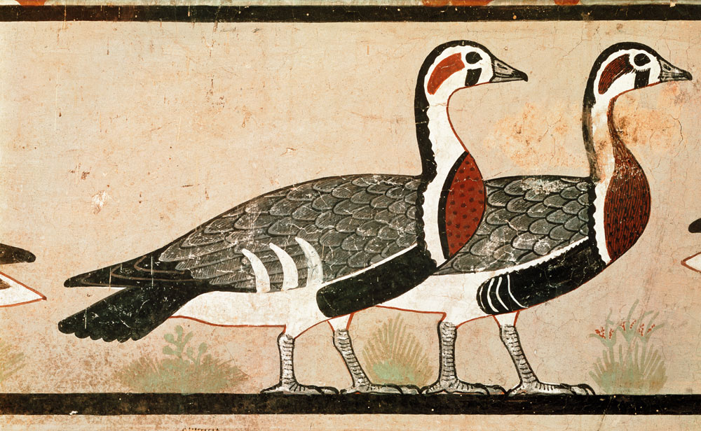 Meidum geese, from the Tomb of Nefermaat and Atet, Old Kingdom from Egyptian