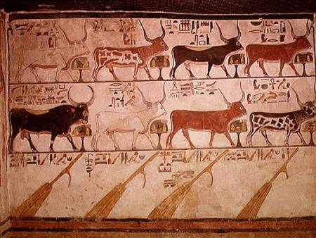 The seven celestial cows and the sacred bull and the four rudders of heaven, from the Tomb of Nefert from Egyptian