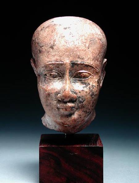 Male Head from Egyptian