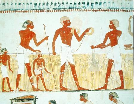 Measuring the land using rope, from the Tomb Chapel of Menna, New Kingdom from Egyptian