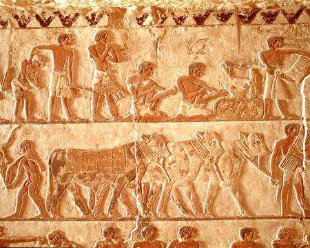 Painted relief depicting the posting of taxes and a group of cattle, Old Kingdom from Egyptian