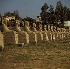 Avenue of Sphinxes, added by Nectanebo I (380-362 BC) Late Period