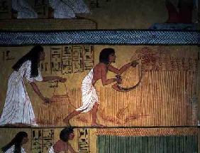 Detail of a harvest scene on the East Wall, from the Tomb of Sennedjem, The Workers' Village, New Ki