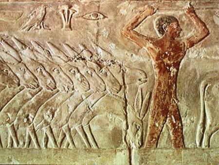 Troup of donkeys, from the Mastaba of Mereruka, Old Kingdom from Egyptian