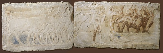 Relief of Peasants Driving Cattle and Fishing, Old Kingdom, 2450-2290 BC from Egyptian School