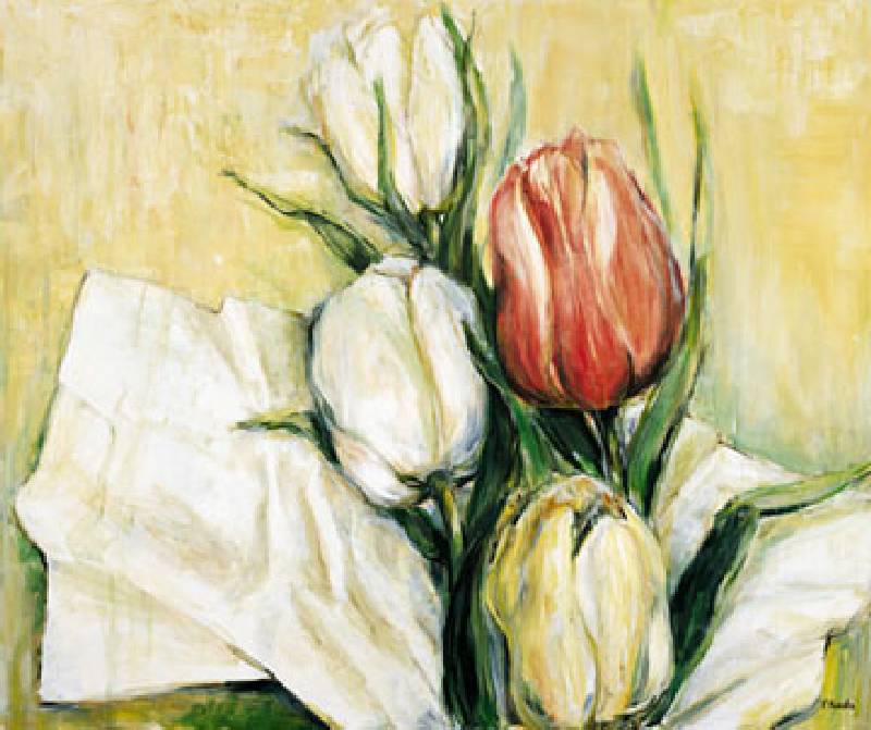 Tulipa Antica from Elisabeth Krobs