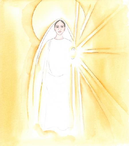 Our Lady appeared before me, in her dazzling Heavenly beauty