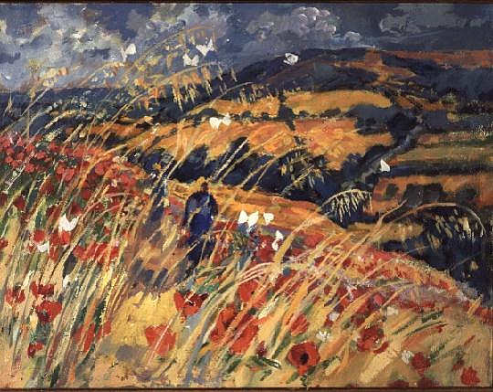 Poppy Field  from Elizabeth Jane  Lloyd