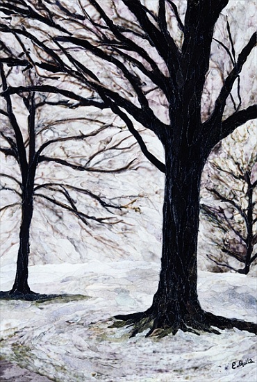 Winter Trees, Greenwich Park from Ellen  Golla