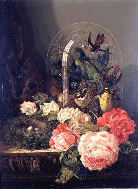 Still life of birds, flowers and a bird's nest on a table from Ellen Ladell