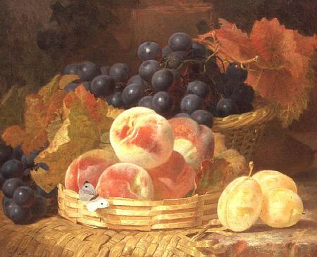 Still Life with Fruit and a Butterfly from Eloise Harriet Stannard