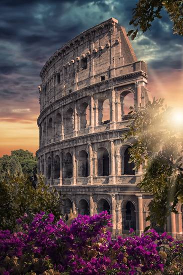 Colosseum At Sunset