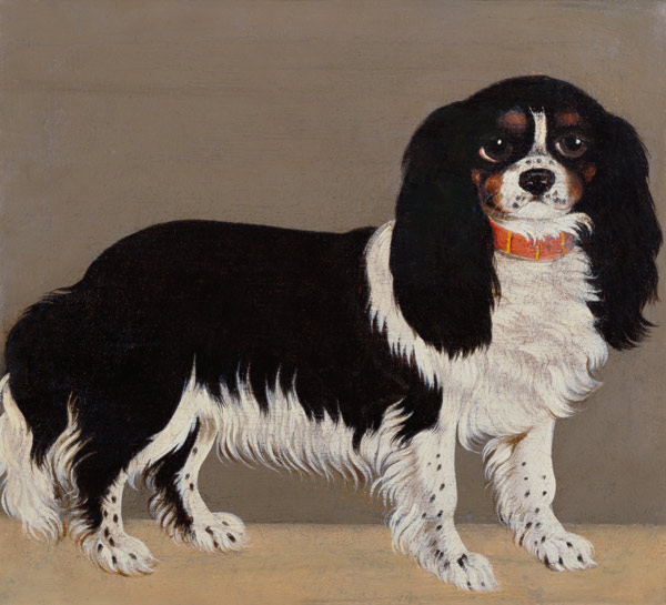 A Cavalier King Charles Spaniel (pair of 64045) from English School