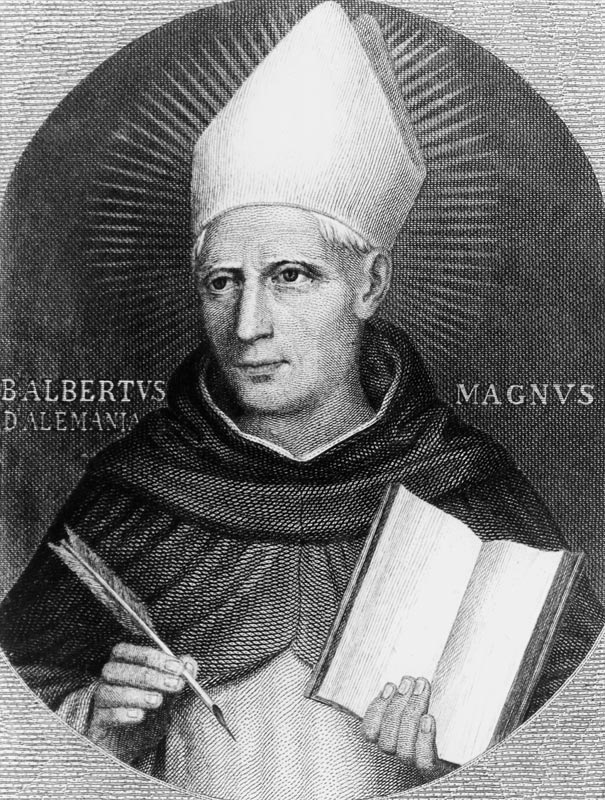 St Albertus Magnus from English School