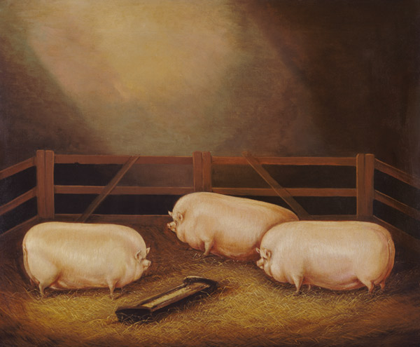 Three Prize Pigs outside a Sty from English School