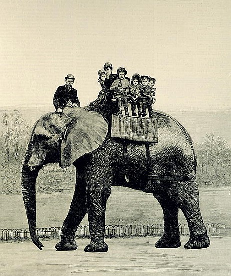 A Farewell Ride on Jumbo, from ''The Illustrated London News'', 18th March 1882 from English School