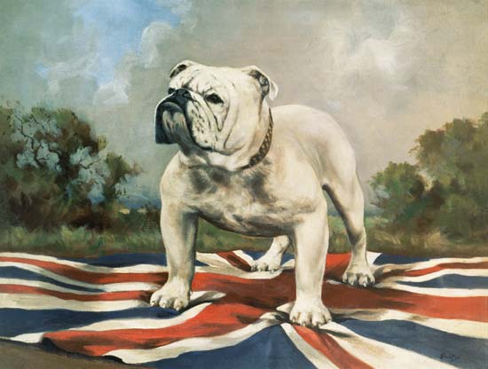 British Bulldog from English School