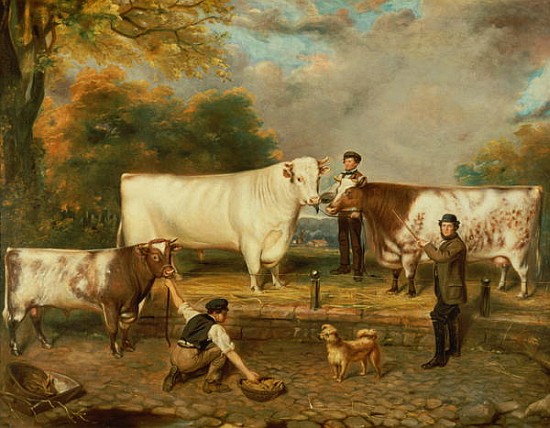 Cows with a herdsman from English School