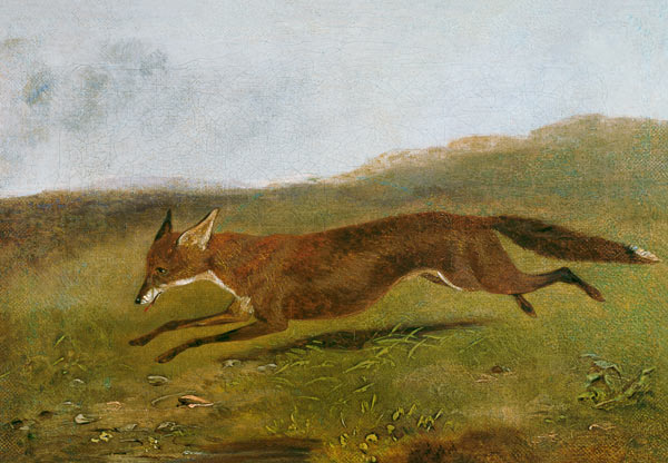 The Fox from English School
