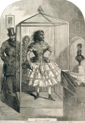 Miss Julia Pastrana, The Embalmed Nondescript, Exhibiting at 191 Piccadilly, 1862 (engraving) from English School, (19th century)