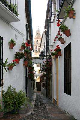 Gasse in Cordoba from Erich Teister