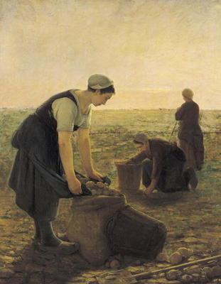 The Potato Harvest (oil on canvas) from Ernest Masson