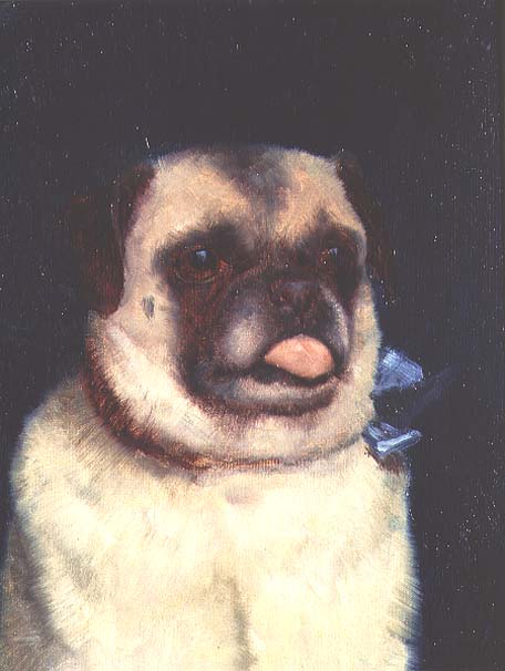 A Pug, 1895 (board)  from Ernest Moore