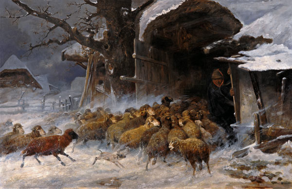 Schafherde, die vor einem Schneetreiben in den Staal gebracht wird. from Ernst Meissner