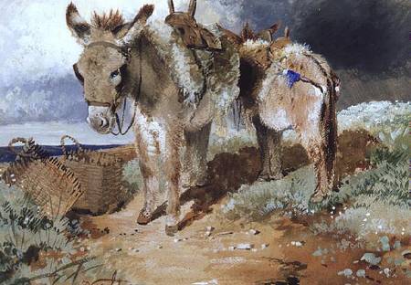 Donkeys from Erskine Nicol